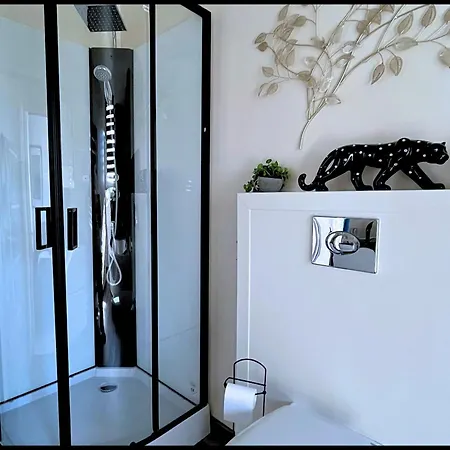 Le Passage Secret - Balneo Privee - Escapade A 2 アパート サン・クエンティン