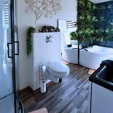 ღ Le Passage Secret - Balneo Privee - Escapade A 2 ღ * Saint-Quentin (Aisne)